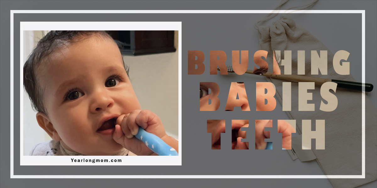 When To Start Brushing Baby Gums And Teeth